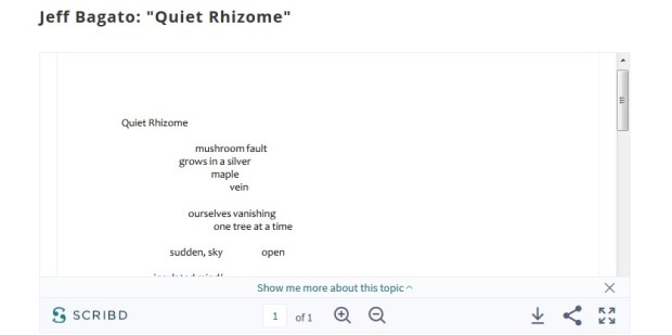 quiet-rhizome-ft53