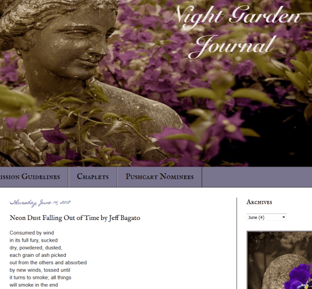 neon dust-night-garden