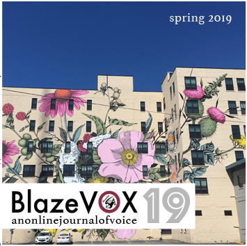 blaze vox 19 front